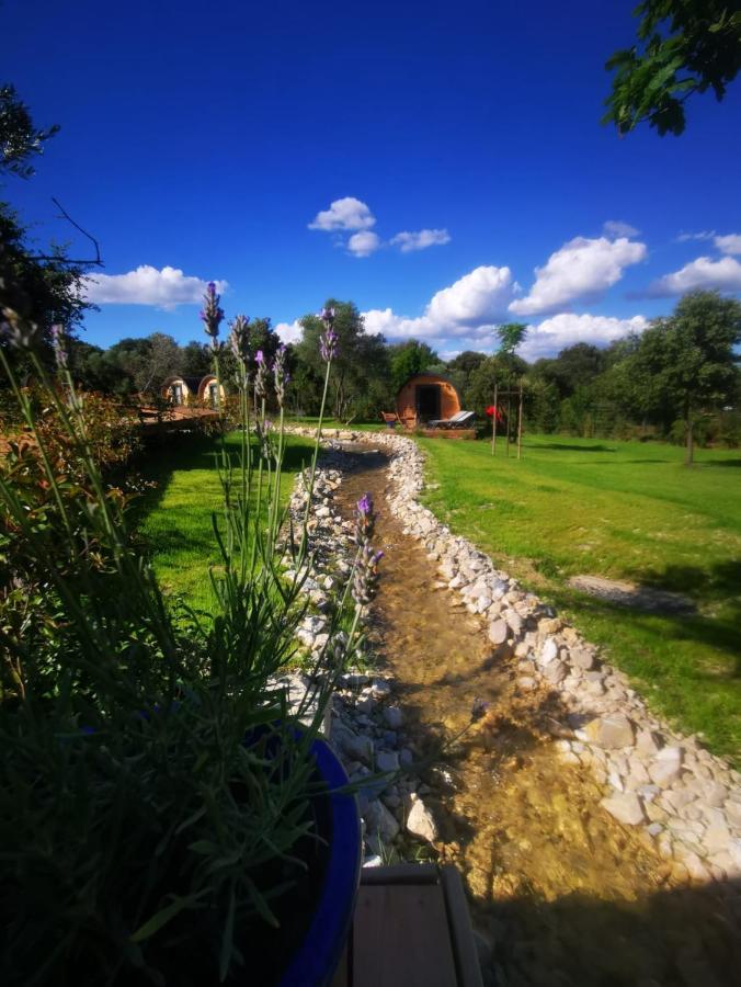 Camping Les Pres Du Roi Sommières Exteriör bild