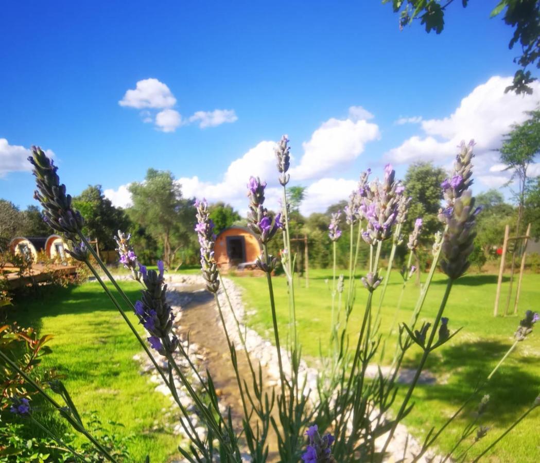 Camping Les Pres Du Roi Sommières Exteriör bild